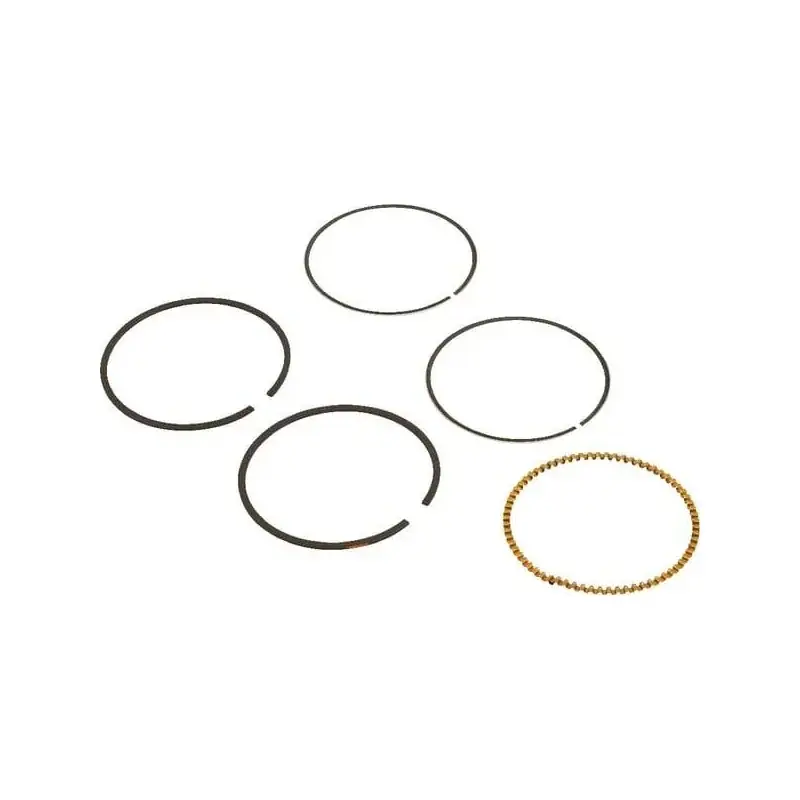 Kit de segments BRIGGS ET STRATTON 590523 Vente Directe