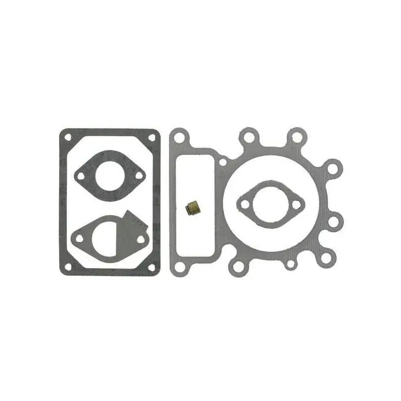 Quantité Limitée Kit de joints BRIGGS ET STRATTON 796189