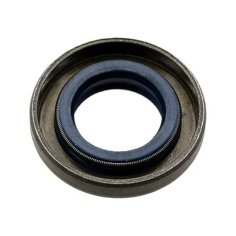 Joint spi ALPINA ALP3121070 Offre Du Jour