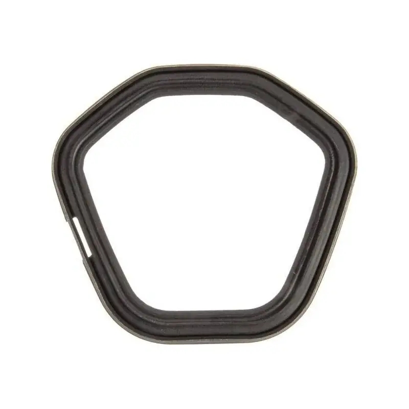 Joint pour couvercle de soupap BRIGGS ET STRATTON 797846 Achetez Aujourd&rsquo;hui
