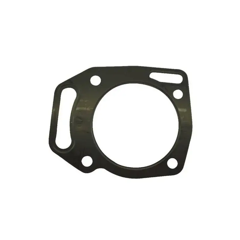 Joint de culasse BRIGGS ET STRATTON 805653S Nouveauté