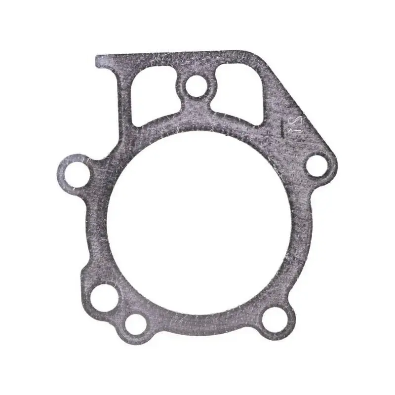 Joint de culasse BRIGGS ET STRATTON 697690 Promotion Saisonnière