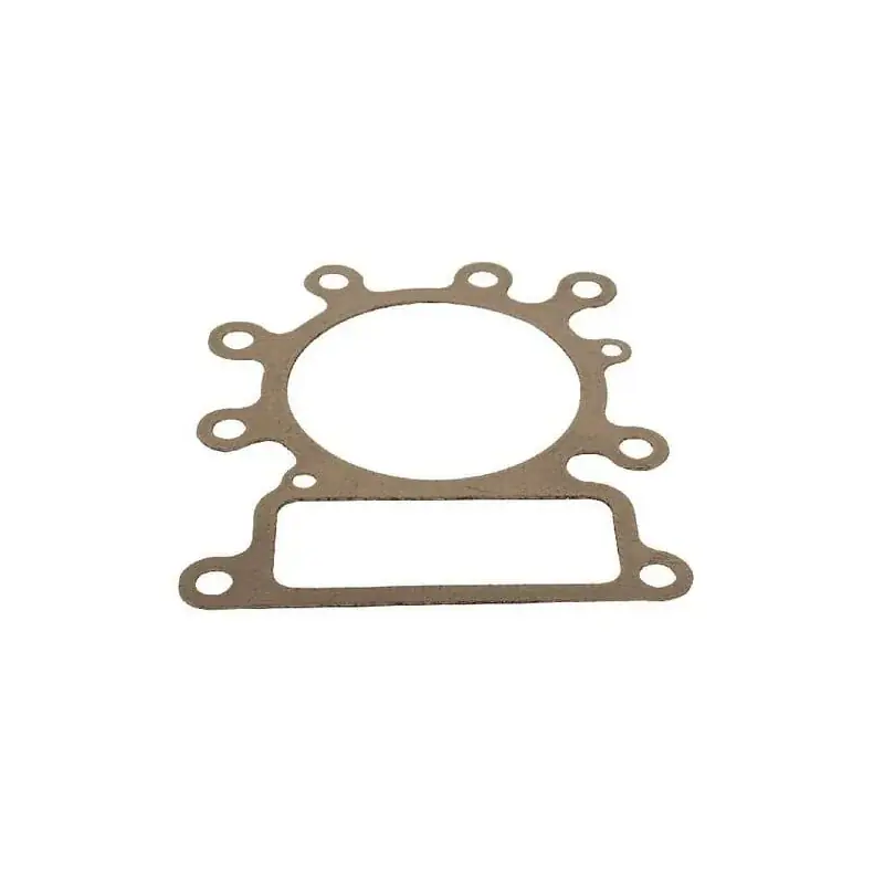 Authentique Joint de culasse BRIGGS ET STRATTON 273280S