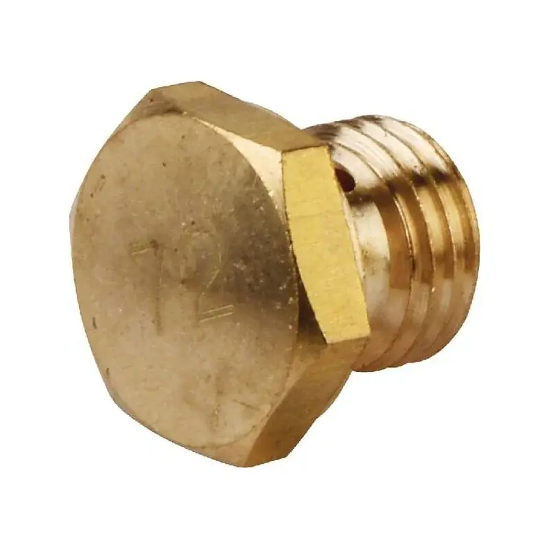 Achetez Aujourd&rsquo;hui Gicleur principal BRIGGS ET STRATTON 798661