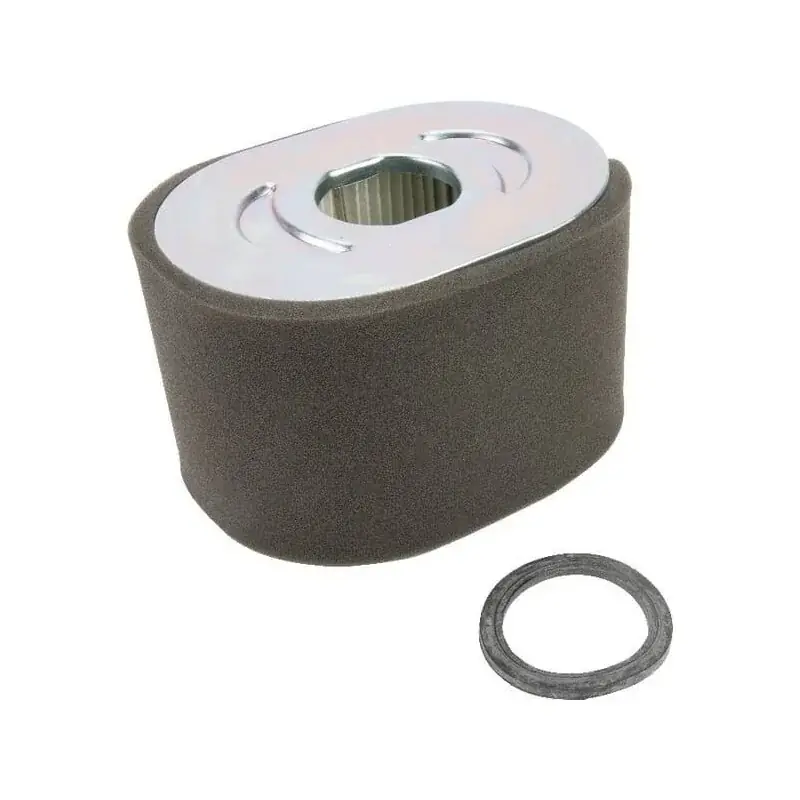 Prix Choc Filtre à air BRIGGS ET STRATTON 799818