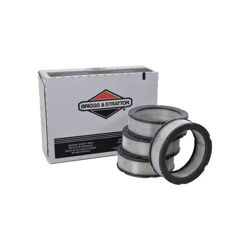 Produit De Marque Filtre à air BRIGGS ET STRATTON 4135