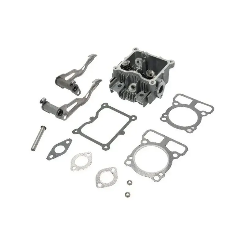Expédition Rapide Culasse BRIGGS ET STRATTON 592536