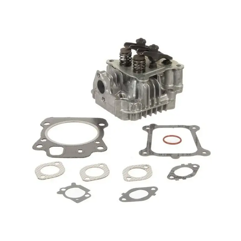 Culasse BRIGGS ET STRATTON 592175 – 84004354 Haute Qualité