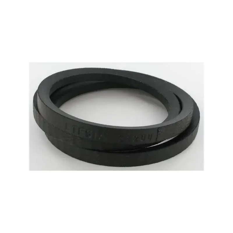 Courroie ETESIA ET31200 Quantité Limitée