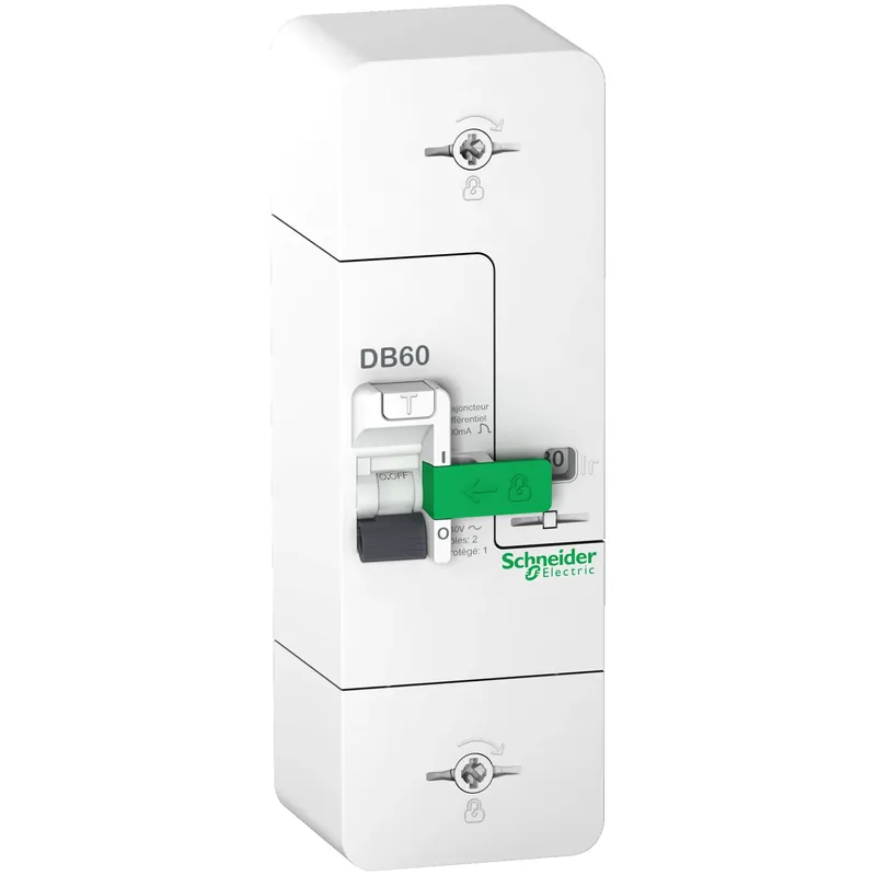 Disjoncteur de branchement SCHNEIDER R9FT645 1P+N 15/30/45A 500mA Instantané Resi9 Affaire À Saisir