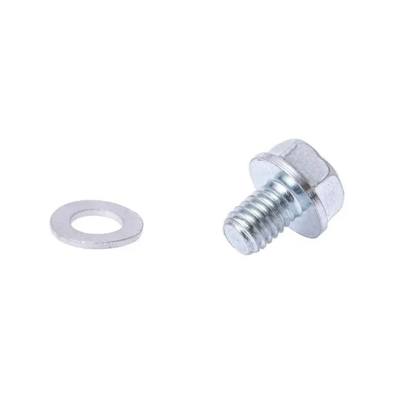 Seulement Aujourd&rsquo;hui Vis de carburateur BRIGGS ET STRATTON 592493
