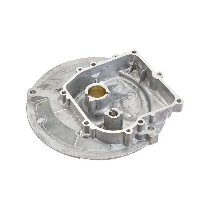 Carter BRIGGS ET STRATTON 594101 Solde