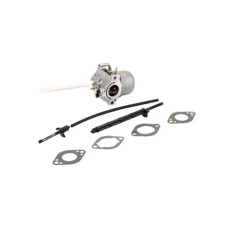 Carburateur BRIGGS ET STRATTON 796122 Acheter En Ligne