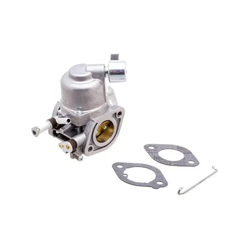 Petit Prix Carburateur BRIGGS ET STRATTON 597126