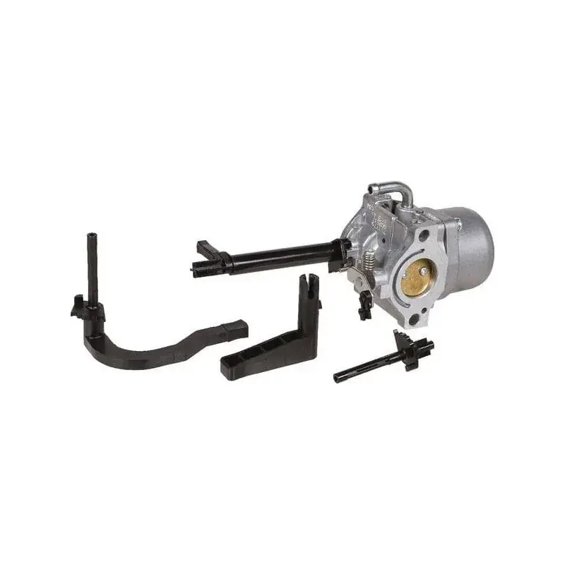 Affaire À Saisir Carburateur BRIGGS ET STRATTON 591378