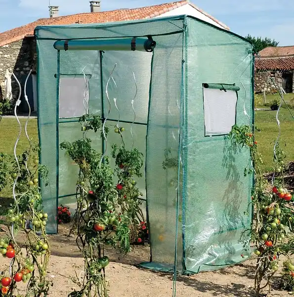 Serre tomate – Grand modèle Vente Flash