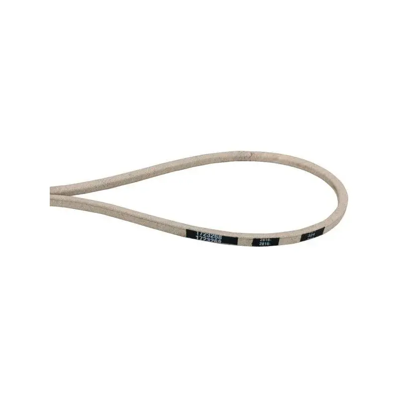 Acheter Direct Courroie SNAPPER 1723268SM