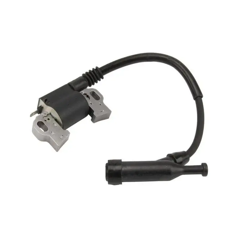 Bobine d‘allumage BRIGGS ET STRATTON 797769 Meilleur Prix